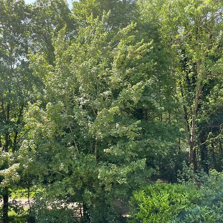 Ferienhaus Belle Maison En Bordure De Foret Sqy Guyancourt